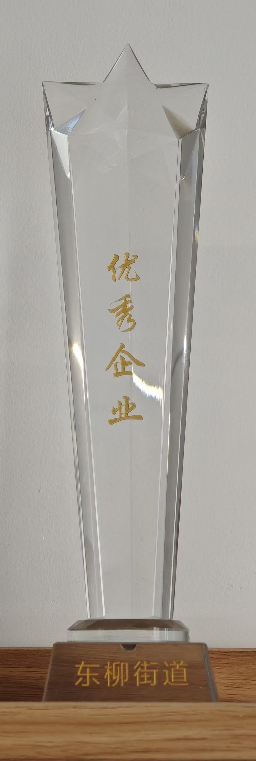 Dongliu Subdistrict excellent enterprise trophy